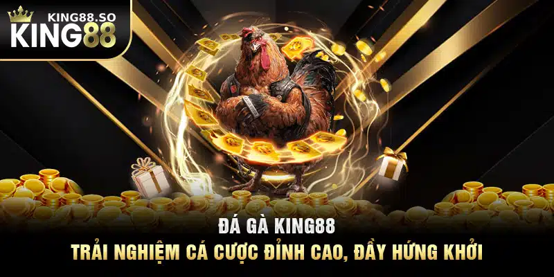 Đá Gà KING88: Trải Nghiệm Cá Cược Đỉnh Cao, Đầy Hứng Khởi