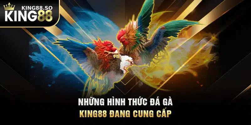 Những hình thức đá gà KING88 đang cung cấp