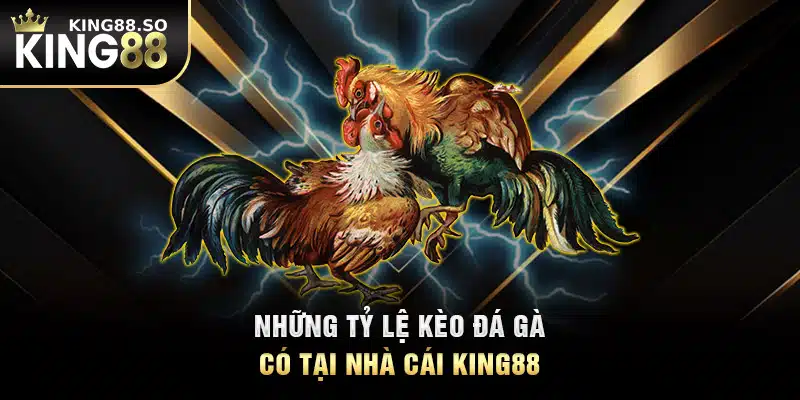 Những tỷ lệ kèo đá gà có tại nhà cái KING88