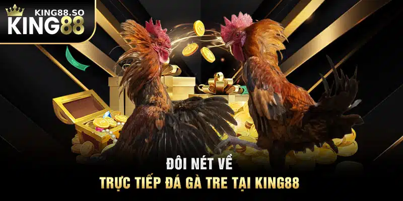 Đôi nét về trực tiếp đá gà tre tại KING88