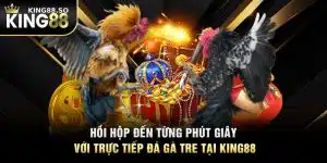 Hồi Hộp Đến Từng Phút Giây Với Trực Tiếp Đá Gà Tre Tại KING88