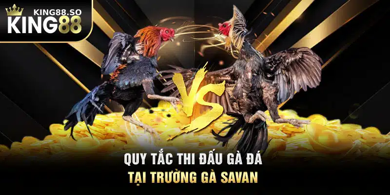 Quy tắc thi đấu gà đá tại trường gà Savan