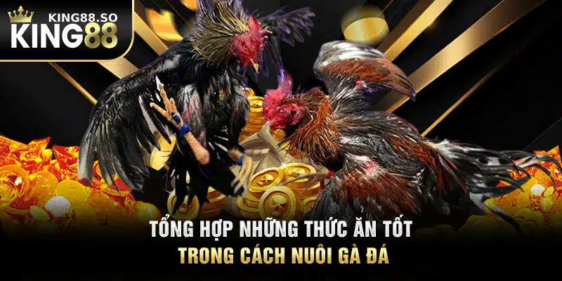 Tổng hợp những thức ăn tốt trong cách nuôi gà đá