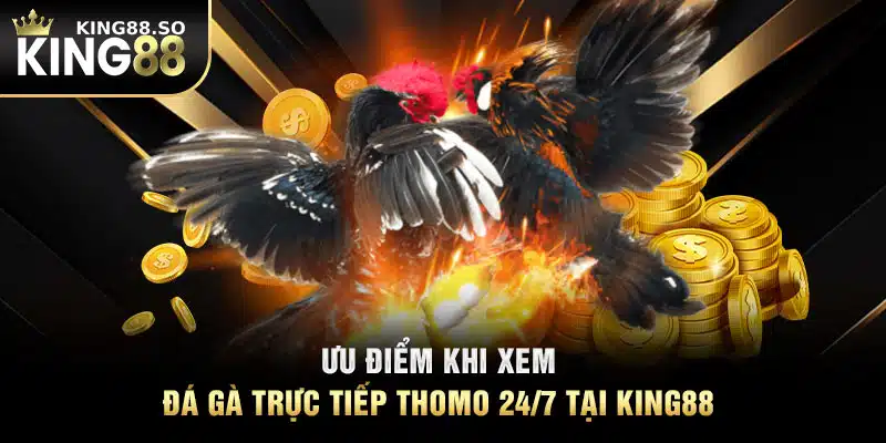 Ưu điểm khi xem đá gà trực tiếp Thomo 24/7 tại KING88