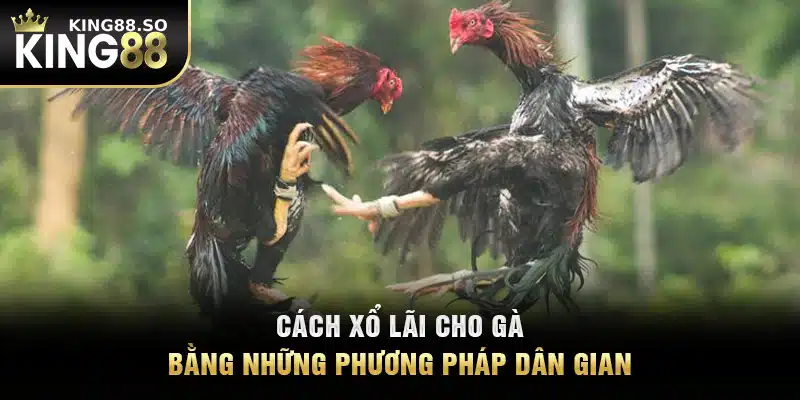 Cách xổ lãi cho gà bằng những phương pháp dân gian