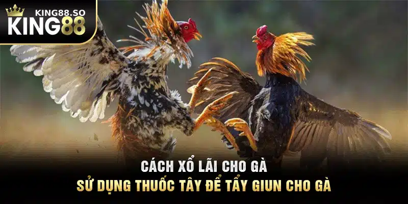 Cách xổ lãi cho gà - Sử dụng thuốc tây để tẩy giun cho gà