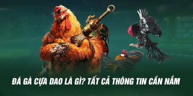 Luật chơi đá gà cựa sắt