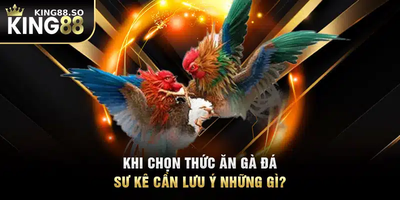 Khi chọn thức ăn gà đá, sư kê cần lưu ý những gì?