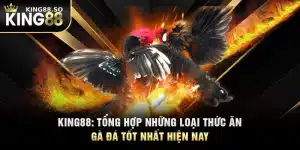 KING88: Tổng Hợp Những Loại Thức Ăn Gà Đá Tốt Nhất Hiện Nay